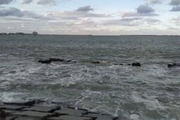 وحشت در مصر | زلزله ترکیه آب دریاى مصر را سیاه کرد +عکس