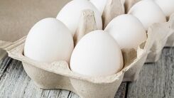 سقوط قیمت تخم مرغ به زیر نرخ مصوب | دلیل کاهش قیمت تخم مرغ چیست؟