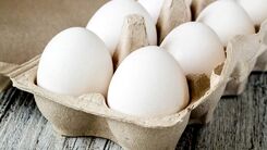 سقوط قیمت تخم مرغ به زیر نرخ مصوب | دلیل کاهش قیمت تخم مرغ چیست؟