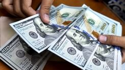قیمت دلار امروز شنبه 20 دی 99 / قیمت دلار در بازار روند صعودی پیدا کرد + جدول
