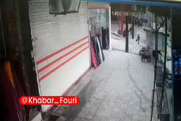 حمله وحشتناک «گرگ» به شهروندان در کرمانشاه! +فیلم