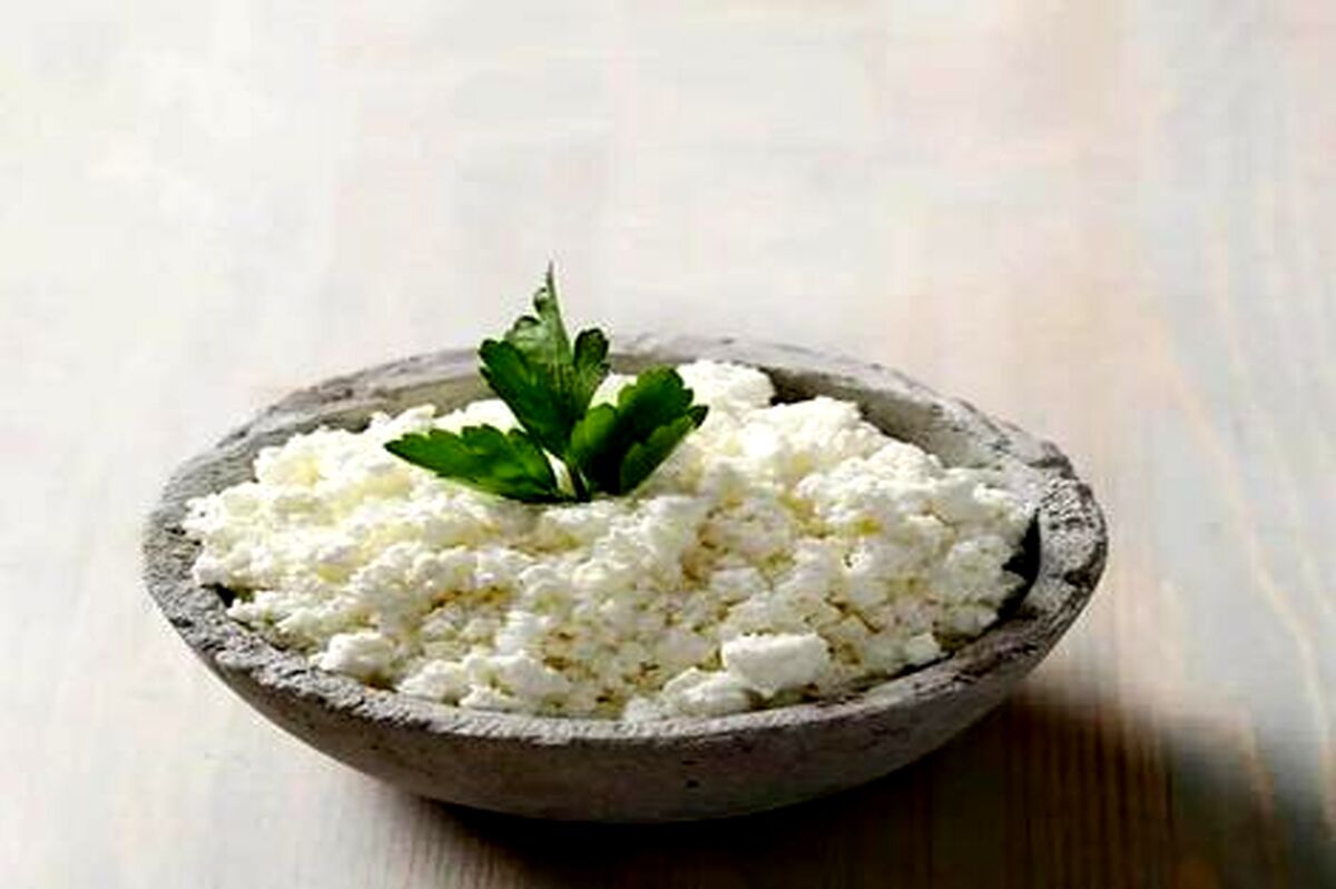 بجای گوشت این خوراکی را بخورید! | استخوان فولادین تا 120 سالگی با این لبنیات!