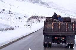 هشدار جدی برای مسافران | بارش باران و برف شدید این جاده ها را مسدود کرد 