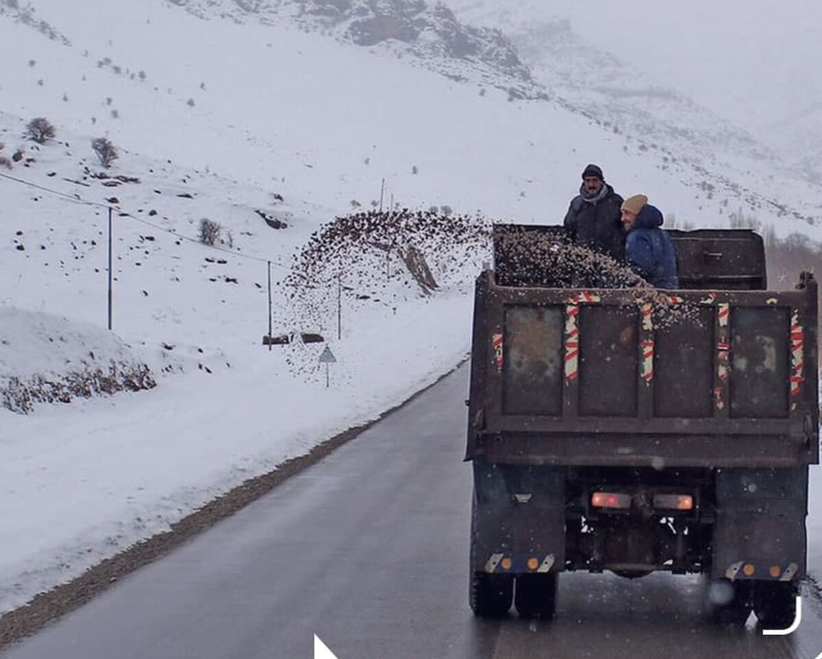 مه و کولاک برف در نیمه شمالی تهران