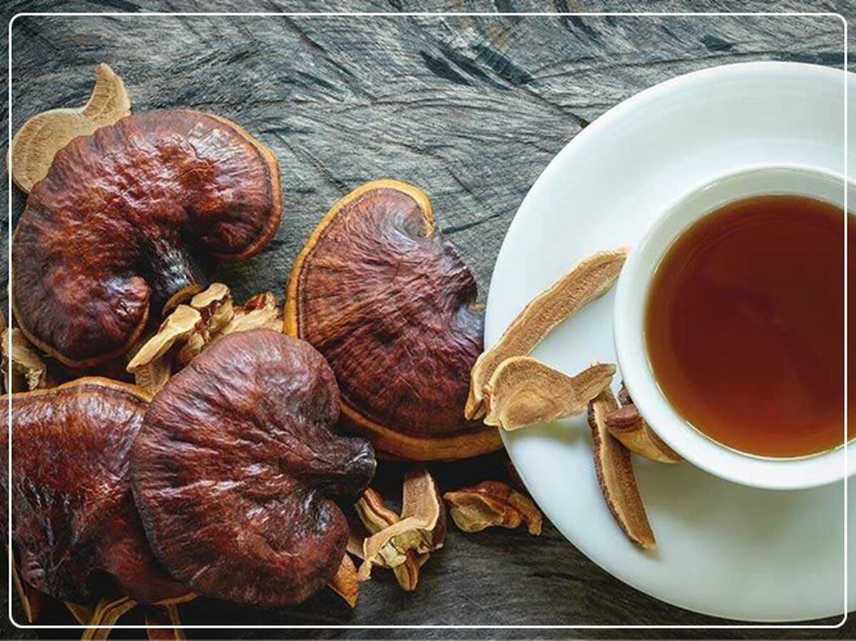 قهوه گانودرما موثر در کاهش استرس