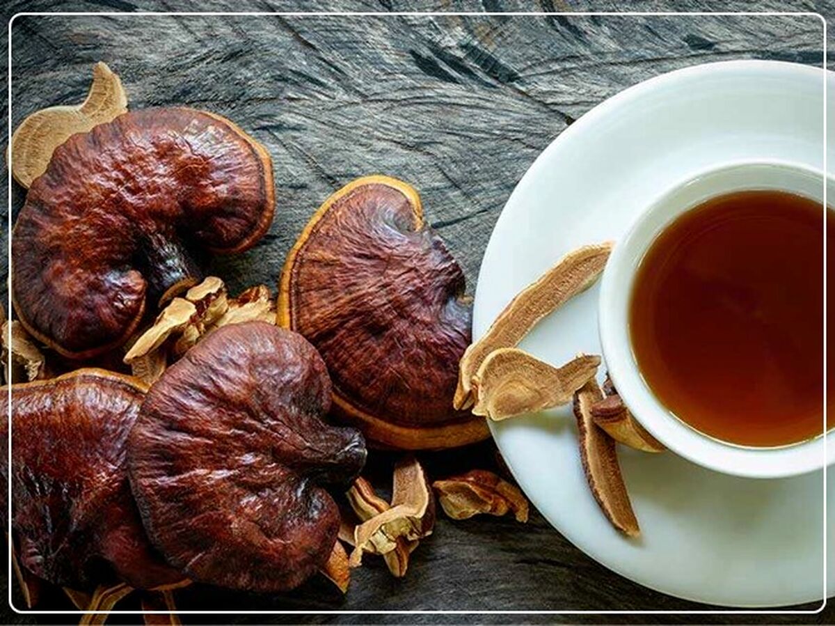 قهوه گانودرما موثر در کاهش استرس