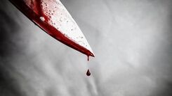 قتل دوباره با داس در تالش / سناریو مرگ رومینا تکرار شد