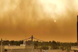 یک هزار و ۱۹۱ نفر راهی مراکز درمانی شدند | طوفان در سیستان یک قربانی گرفت