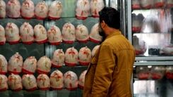 خبر خوش اول هفته از بازار مرغ و گوشت | آخرین قیمت گوشت مرغ و گوسفندی | قیمت مرغ ریخت
