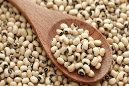 جدیدترین قیمت انواع حبوبات در بازار | لوبیا کیلویی چند شد ؟