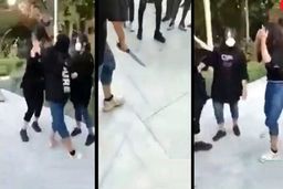 درگیری وحشتناک ۴ دختر نوجوان در پارک+ فیلم 