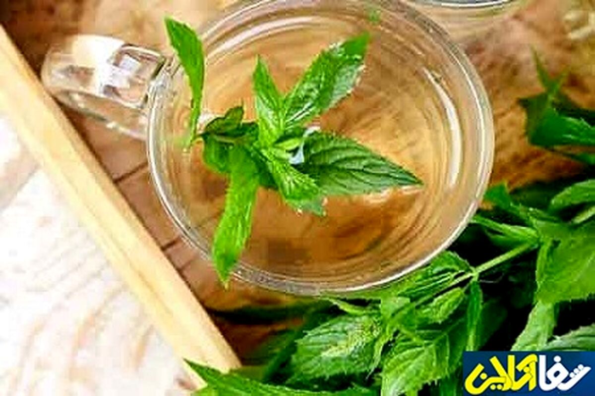 درمان سرماخوردگی و آسم با چای نعنا | آبرسانی بدن با نوشیدنی نعنا