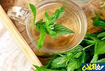 درمان سرماخوردگی و آسم با چای نعنا | آبرسانی بدن با نوشیدنی نعنا