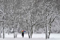 باران و کولاک برف در راه است | هوا از جمعه تا دوشنبه سرد می شود | صدور هشدار زرد هواشناسی برای این مناطق