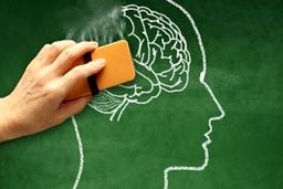 خانم ها این ورزش را انجام بدهند تا آلزایمر نگیرند | فواید بی نظیر یوگا برای سلامت مغز