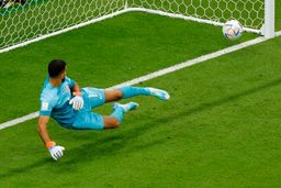 اولین درگیری روی سکوهای جام جهانی | کار زشت هوادار اکوادوری  پس از گل دوم !‌+ فیلم