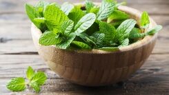 از خوردن نعناع در ماه رمضان غافل نشوید