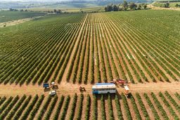 ارزان ترین و گران ترین قهوه ها در بازار کدامند؟