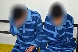 حمله 2 مرد خشن با چاقو به زن جوان در پارک | سرقت سگ میلیونی کار دست دزدان داد +عکس