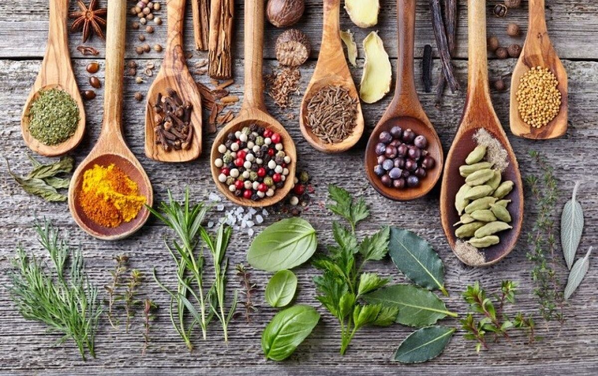 فواید عصاره پودری چای سبز چیست؟