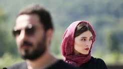 نوید محمدزاده و فرشته حسینی تمام مجسمه مرد افغان را خریدند