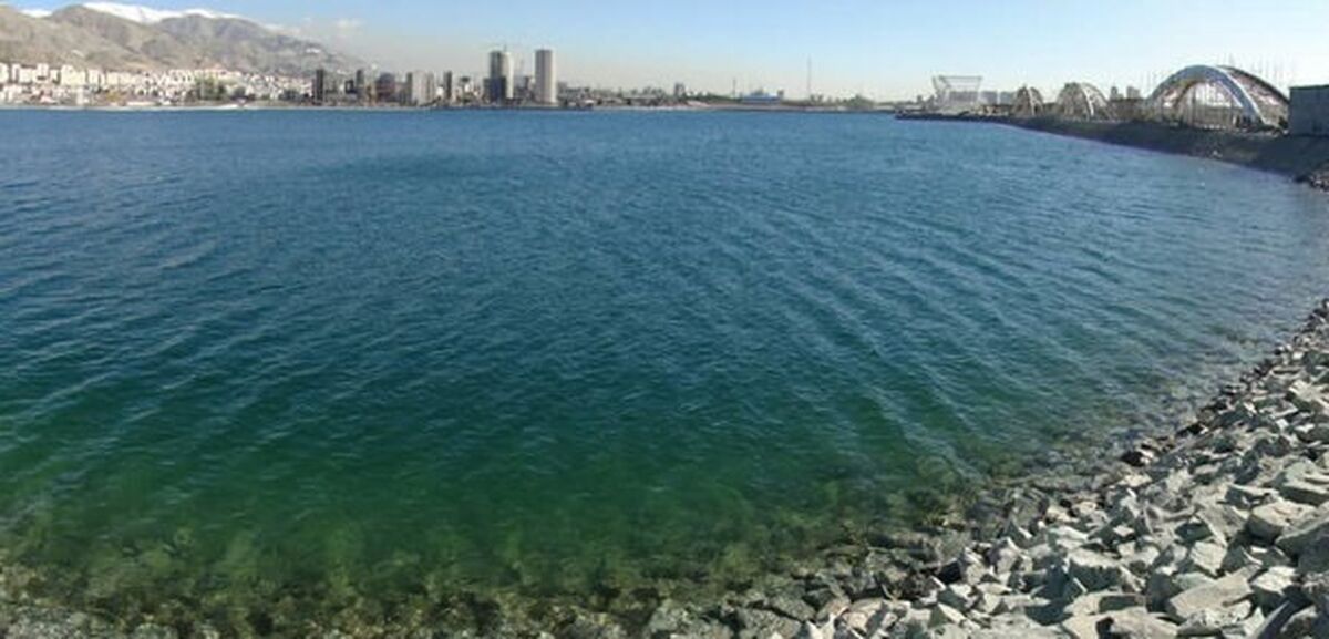 ماجرای تمساح در دریاچه چیتگر+فیلم دیدنی 