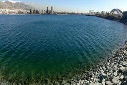 ماجرای تمساح در دریاچه چیتگر+فیلم دیدنی 