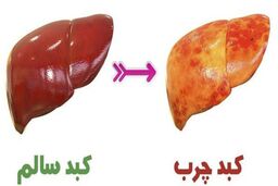 قاتل فوری کبدچرب | پاکسازی و تقویت کبد با این میوه خوشمزه