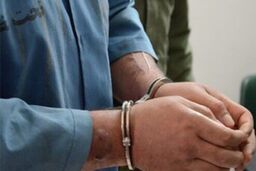 سرقت یک کیلو طلا و جواهر توسط نظافتچی