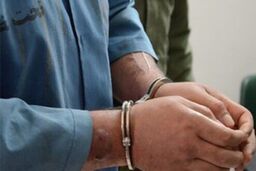 سرقت یک کیلو طلا و جواهر توسط نظافتچی