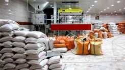 انواع برنج خارجی شب عیدی کیلویی چند شد ؟