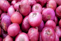 قیمت پیاز در بازار چقدر شد ؟ | منتظر کاهش شدید قیمت پیاز باشید