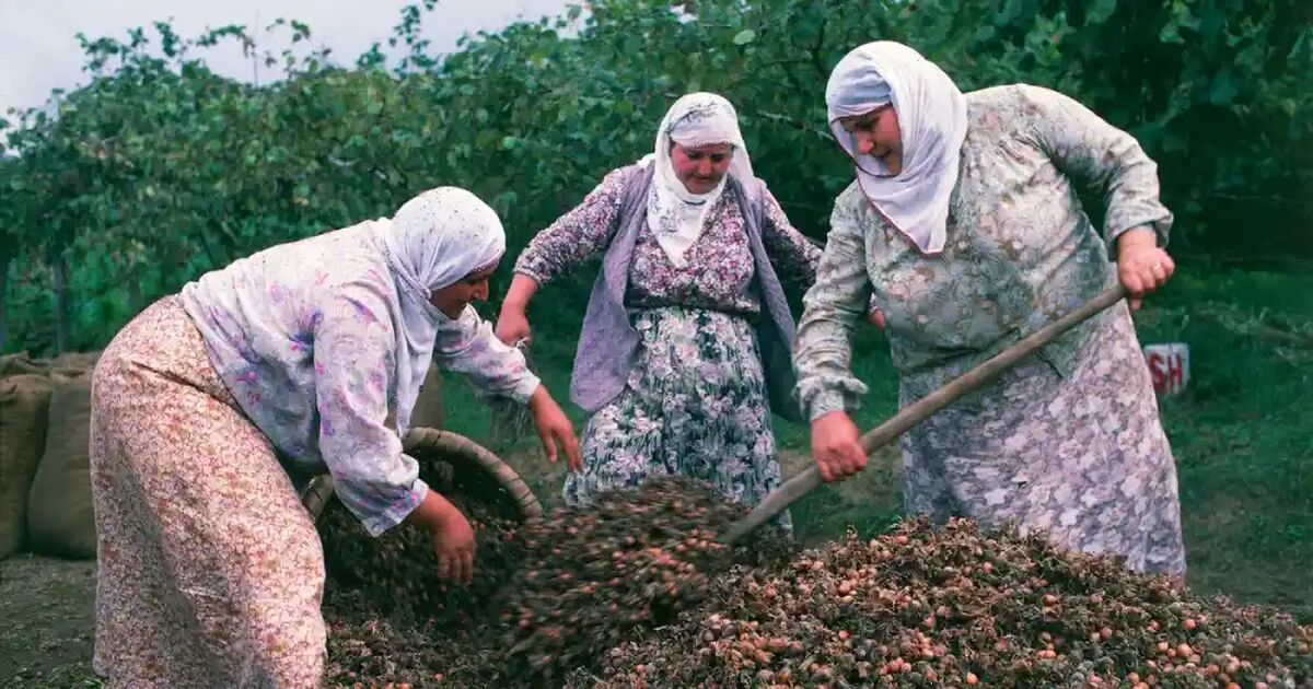 با این دانه کبد چرب را درمان کنید!