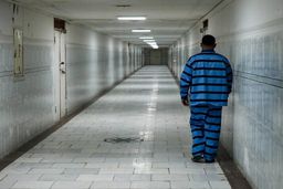 ماجرای دزدی که مسلط به ۴ زبان دنیاست | اعترافات عجیب سارق میلیاردر !