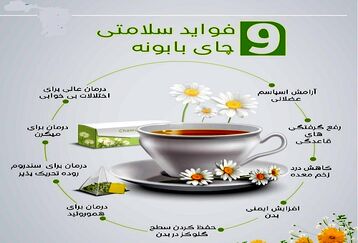 فوایدچای بابونه برای سلامتی+اینفوگرافی