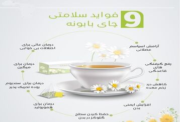 فوایدچای بابونه برای سلامتی+اینفوگرافی