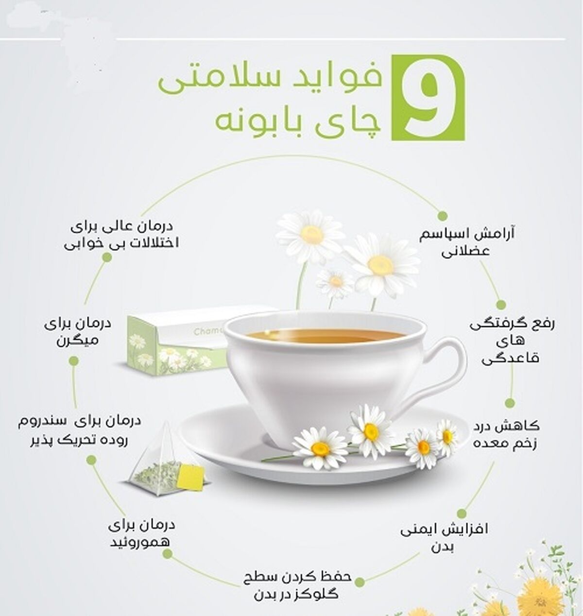 فوایدچای بابونه برای سلامتی+اینفوگرافی