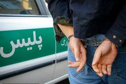 عوامل زورگیری از خانم جوان شهریاری دستگیر شدند