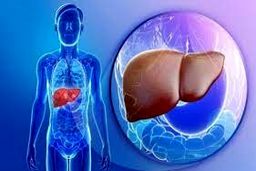 اگر این علائم را دارید کبدتان خوب کار نمی کند | فورا به پزشک مراجعه کنید 