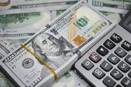 افزایش دوباره قیمت دلار