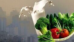  برای مقابله با آلودگی هوا چه بخوریم؟