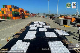 جاسازی مواد مخدر در نارگیل!+عکس