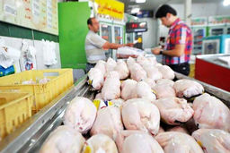 ماجرای گرانفروشی 2 برابری مرغ در مغازه ها | قیمت مرغ در بازار چند؟