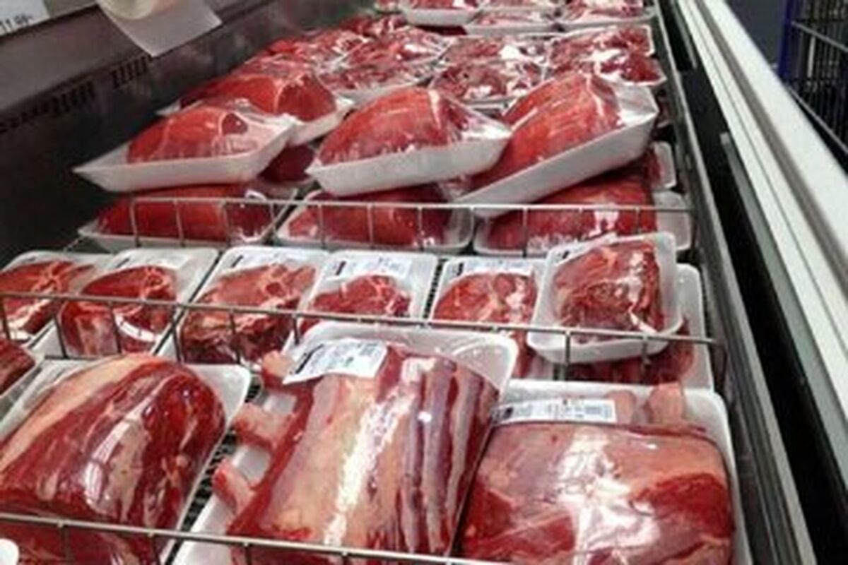 قیمت گوشت در بازار چند شد ؟ | اختلاف عجیب قیمت گوشت در مغازه ها و میادین دام 