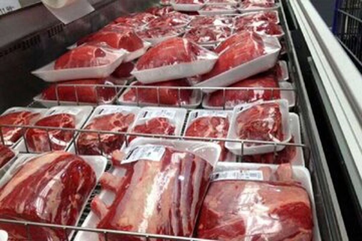 زمان عرضه گوشت تنظیم بازاری در سراسر کشور | از کجا گوشت قیمت مناسب بخریم ؟