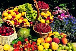 کاهش چشمگیر قیمت نوبرانه ها در بازار | ارزان ترین میوه بازار کدام است ؟