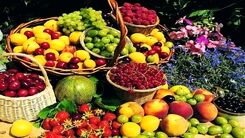 کاهش چشمگیر قیمت نوبرانه ها در بازار | ارزان ترین میوه بازار کدام است ؟