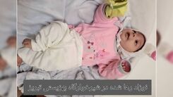 رها کردن نوزاد دختر در سطل زباله/ در تبریز اتفاق افتاد +عکس