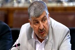 درخواست مشاور لاریجانی از شورای‌ نگهبان+جزئیات بیشتر 