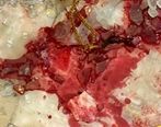 مرگ عامل حمله تروریستی شاهچراغ ؟